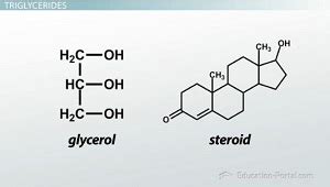 Chemical Structure Of Lipids