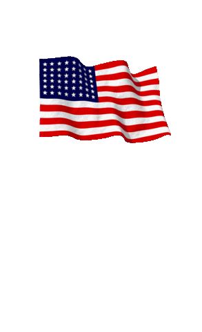 American Flag Metal Sticker for iOS & Android | GIPHY