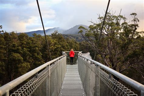 Wander through the treetops on a Huon Valley day trip from Hobart - A Globe Well Travelled