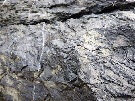 Free photo: Black and White Rock Texture - Abstract, Backdrop ...