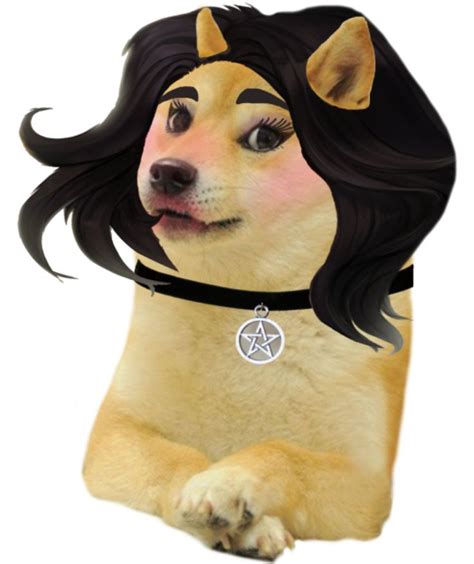 Doomer Girl Doge | Ironic Doge Memes | Doge dog, Doge, Doge meme