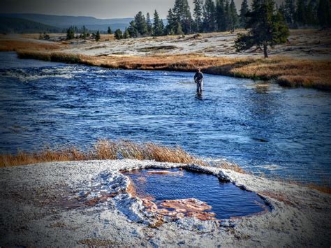 A day on Yellowstone's storied Firehole River | Trout Unlimited