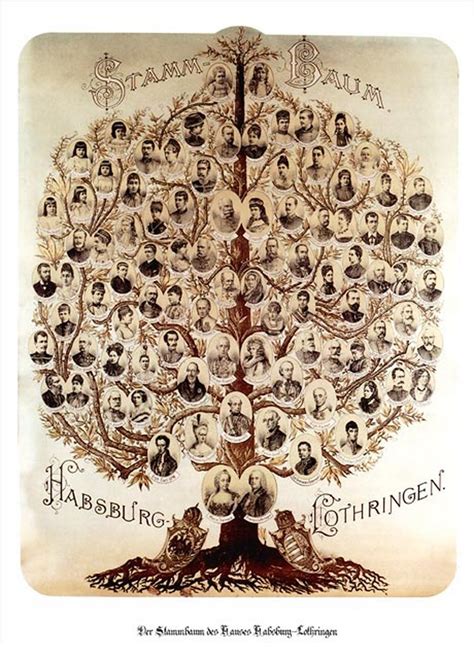 Habsburg Family Tree