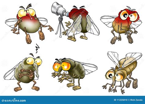 Drosophila Cute Cartoon