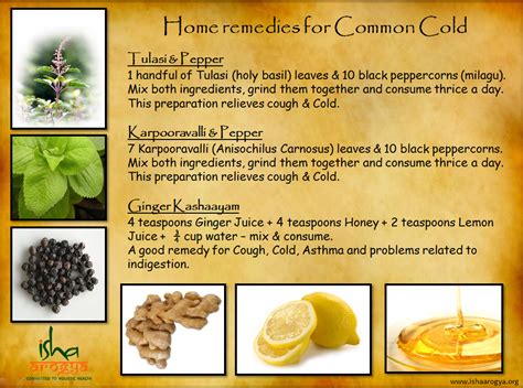 8 Health Benefits of Honey and 9 Uses of Honey | Cold home remedies, Common cold remedies, Remedies