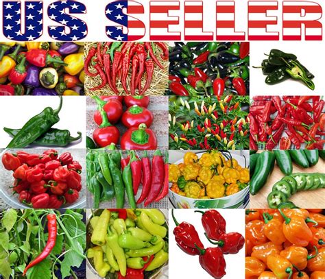 30 Hot Pepper Mix Seeds 16 Varieties Heirloom NON-GMO Habanero | Etsy