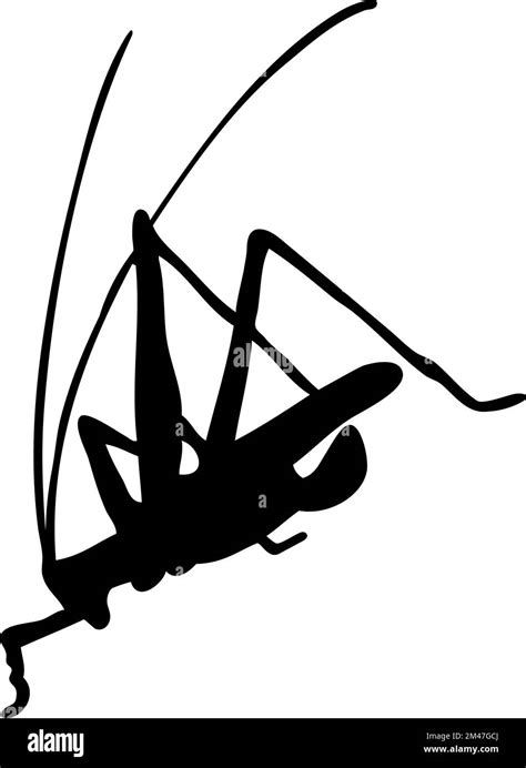 Silhouette of grasshopper. Grasshopper close-up detailed. Vector grasshopper icon on white ...