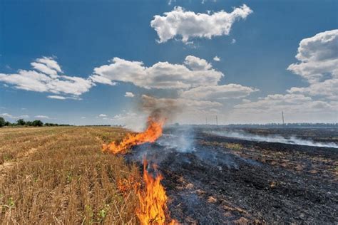 Crop residue burning down, but not out - Manitoba Co-operator