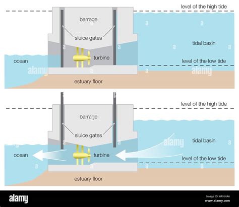 Diagram of a tidal power barrage, wind, renewable energy, alternative energy, hydroelectricity ...