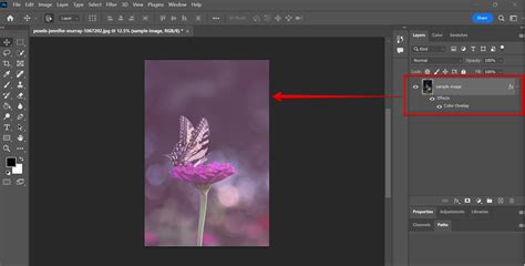 How Do I Overlay Color on an Image in Photoshop? - WebsiteBuilderInsider.com