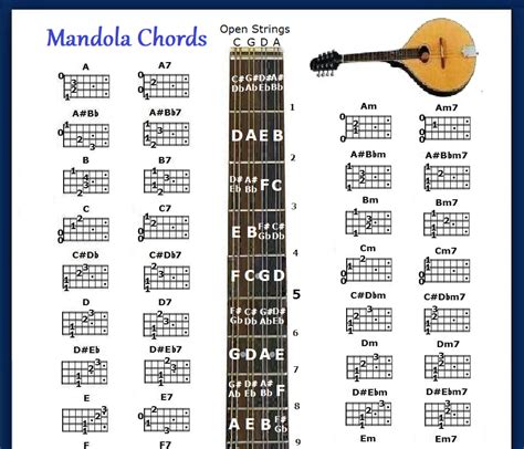 MANDOLA CHORDS CHART & NOTE LOCATOR - SMALL | Grelly UK