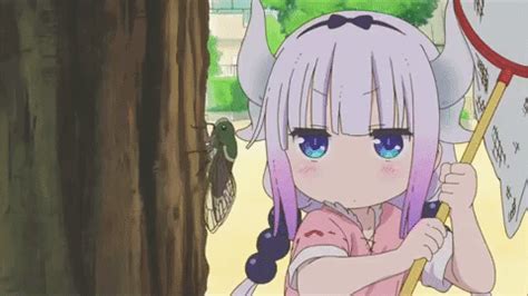 GIF by Crunchyroll - Find & Share on GIPHY | Miss kobayashi's dragon maid, Cute anime character ...