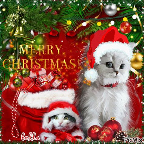 White Kittens Merry Christmas Gif Pictures, Photos, and Images for Facebook, Tumblr, Pinterest ...