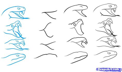 How to draw a snake | Snake drawing, Snake sketch, Snake art