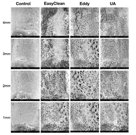 Can Irrigant Agitation Lead to the Formation of a Smear Layer?