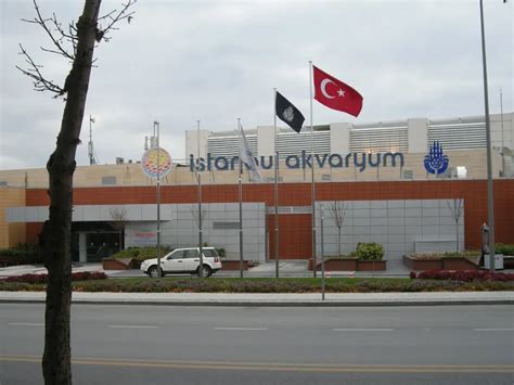 Istanbul Aquarium (Bakırköy) - Visitor Information & Reviews