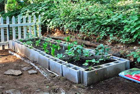 Ben's Journal: Like Lego Blocks For Your Yard