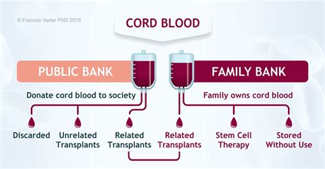 Top 11 Cord Blood Banks in India - ExtraChai