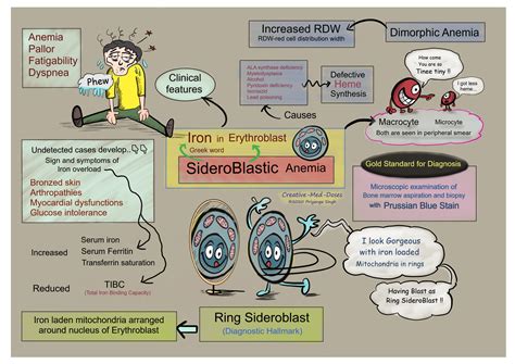 Sideroblastic anemia: Anemia with Ring Sideroblasts - Creative Med Doses