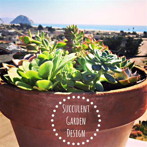 Succulent Garden Design – This Rustic Soul