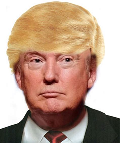 Donald Trump Wig Costume Blonde Comb Over Wig Hair Mr. Billionaire ...