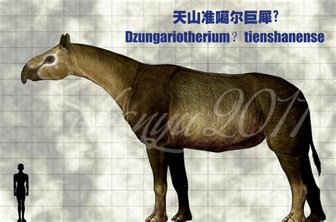 Dzungariotherium?tienshanense by sinammonite on DeviantArt