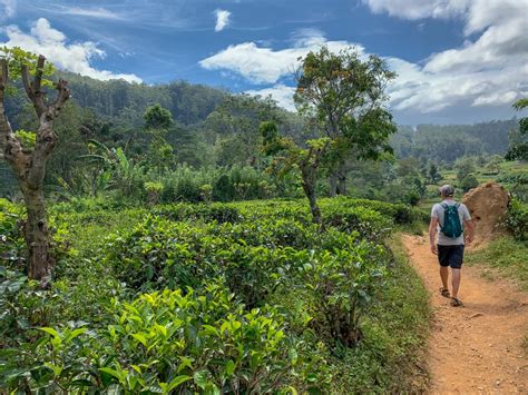 How to Find Hikes Near You : Your Guide to Finding Amazing Hiking Trails