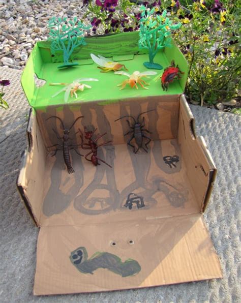 How-To: Make a Bug Habitat and Stick Insect - Make: