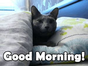 Good Morning GIFs - 150 Animated Pictures | USAGIF.com