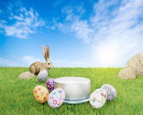 Easter Bunny Eggs Photography Grassland Backdrops Blue Sky Background Sale