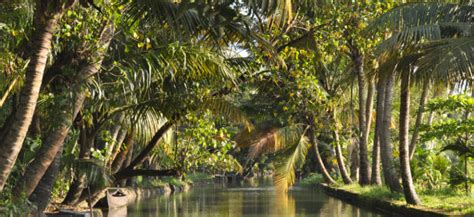 Kerala Backwaters Tour | Best Holiday Tour Packages Company in India