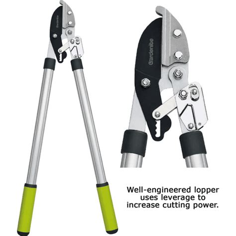 The 10 Best Manual Pole Pruners and Loppers for Tree Trimming - Dengarden