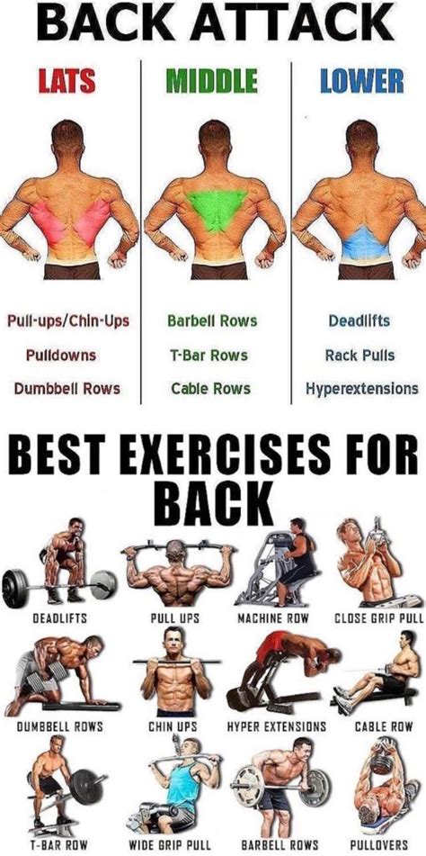 BACK EXERCISES TUTORIAL | GUIDE