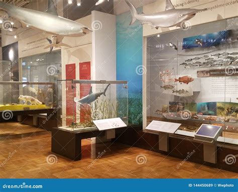 Royal Ontario Museum Exhibits Editorial Stock Image - Image of royal ...