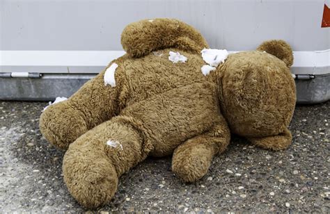 Trash Teddy Bear Stock Photo - Download Image Now - Teddy Bear, Doll, Old - iStock