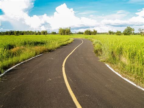 Road In Rural Area Farm Free Stock Photo - Public Domain Pictures