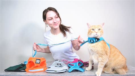 Top 5 Best Cat Harnesses (We Tried Them All) - YouTube