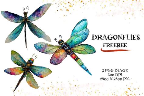 Watercolor Dragonflies - Freebee Graphic by Magiclily · Creative Fabrica