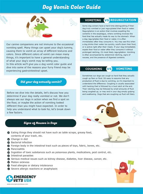 Dog Vomit Color Guide | What Do The Different Colors Mean