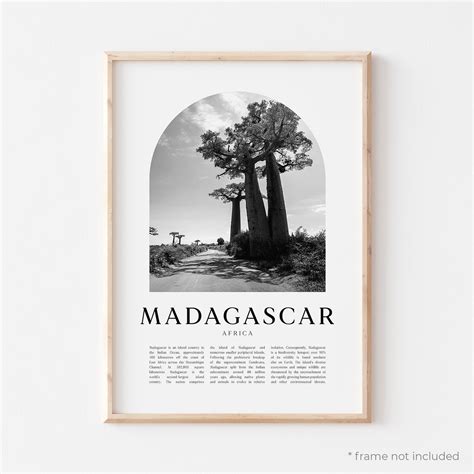 Madagascar Art Print Madagascar Poster Madagascar Photo | Etsy