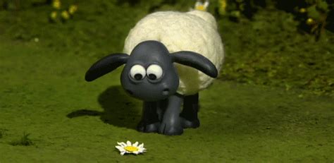 Shaun the Sheep Moments that Totally Explain Your Life | YAYOMG!