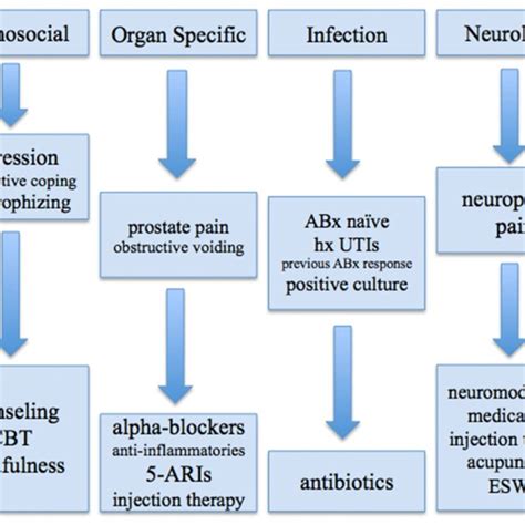 Multi-modal therapy options for CP/CPPS patients, classified by UPOINT ...