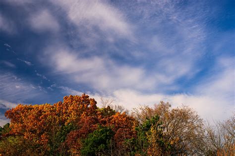 Incredible fall colors in Toronto : r/ontario