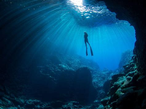 Diving Wallpaper 4K - Cocos Island Underwater Shark Diving Aquatic 4k Wallpaper Download, Hd ...