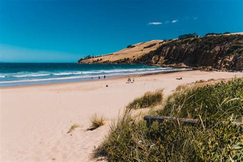 Pristine Wild Landscape at Clifton Beach in South Hobart in Tasmania, Australia with Wavy Blue ...