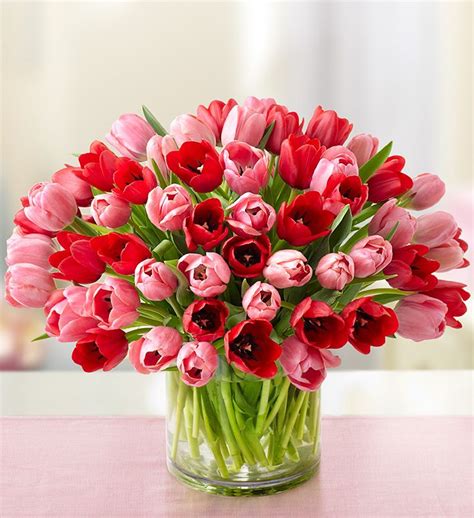 Sweetest Love Tulips | Flower arrangements, Flower arrangements delivery, Flower delivery