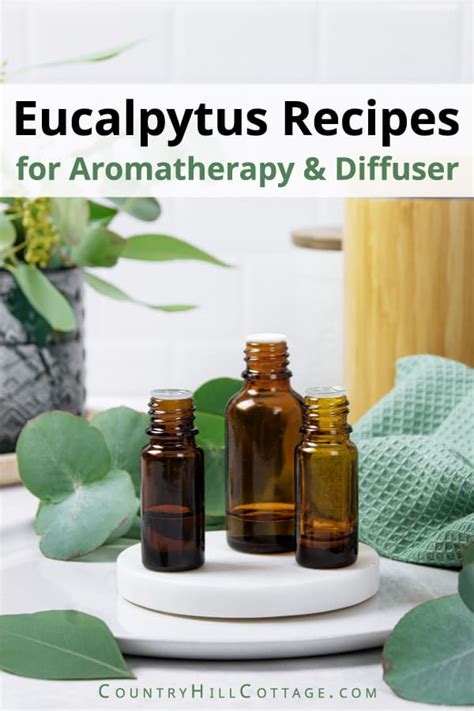 Eucalyptus Diffuser Blends