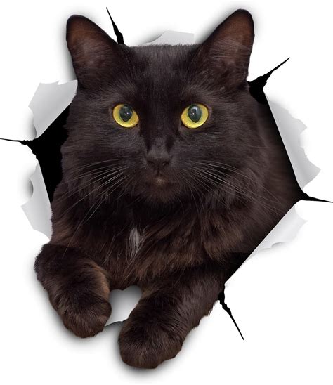 Winston & Bear 3D Cat Stickers - 2 Pack - Cheeky Black Cat Decals for ...