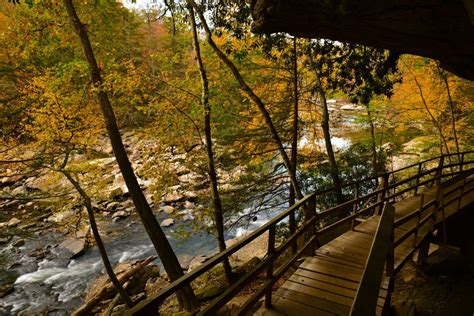 Why you should visit West Virginia state parks every chance you get ...