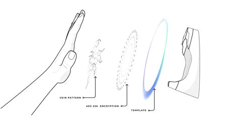 5 Reasons Why Palm Vein Scan is the Best Biometric